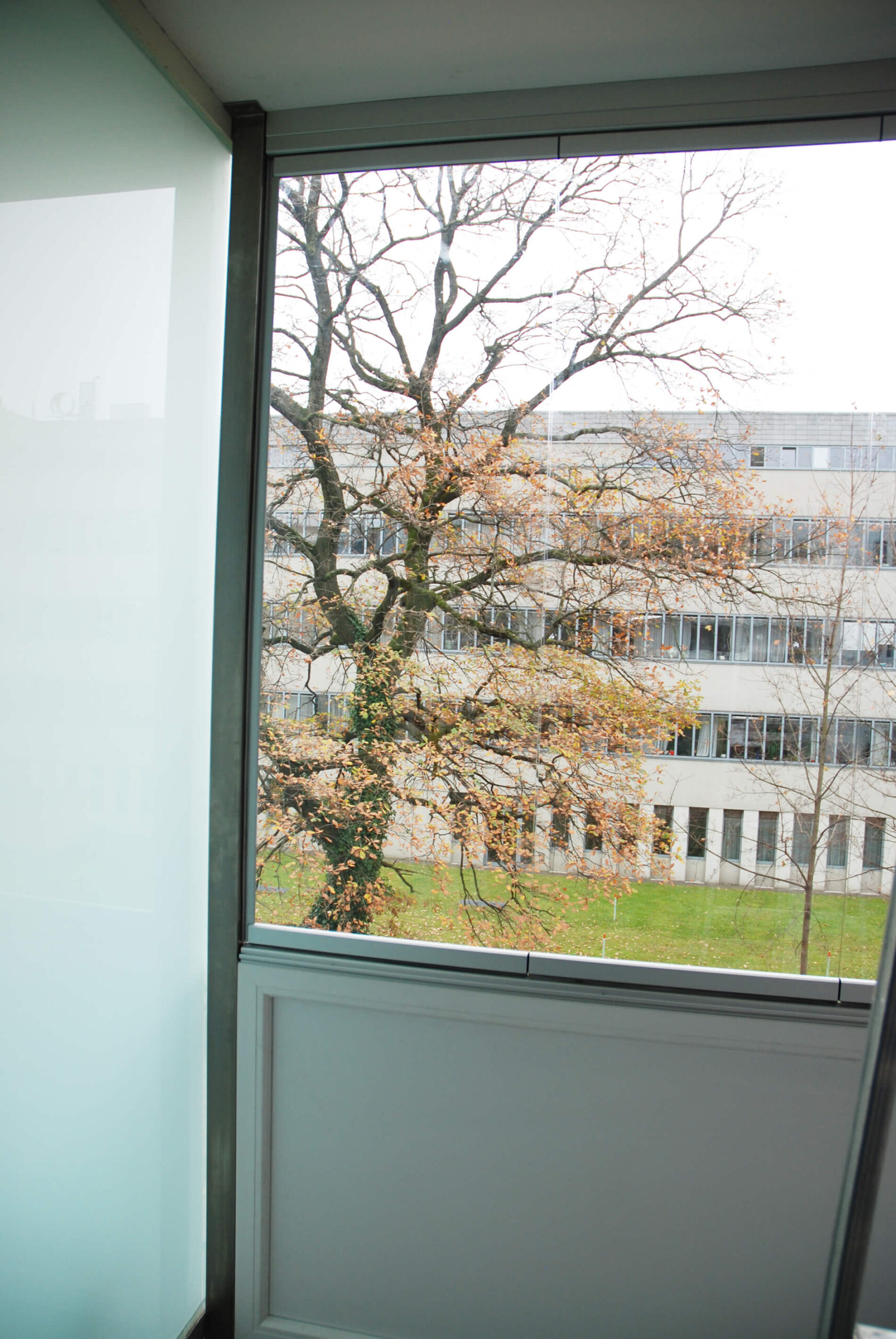 Wetterschutz Balkon transparent